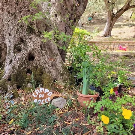 Cella Del Monaco Daire