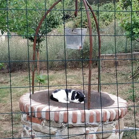 Daire Cella Del Monaco