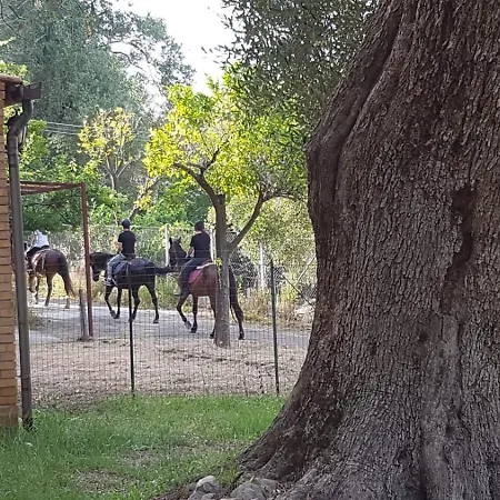 Cella Del Monaco Palinuro
